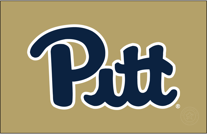 Pittsburgh Panthers 2014-2016 Alt on Dark Logo diy DTF decal sticker